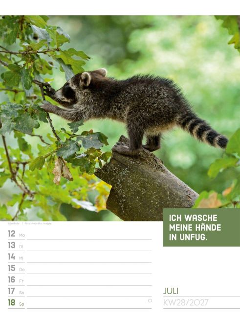 InsideView 32