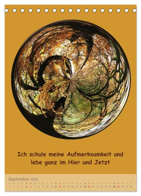 InsideView 14