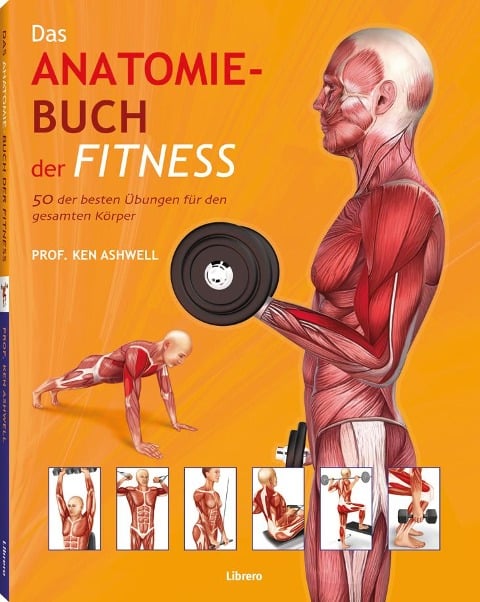 Das Anatomie-Buch der Fitness - Ken Ashwell