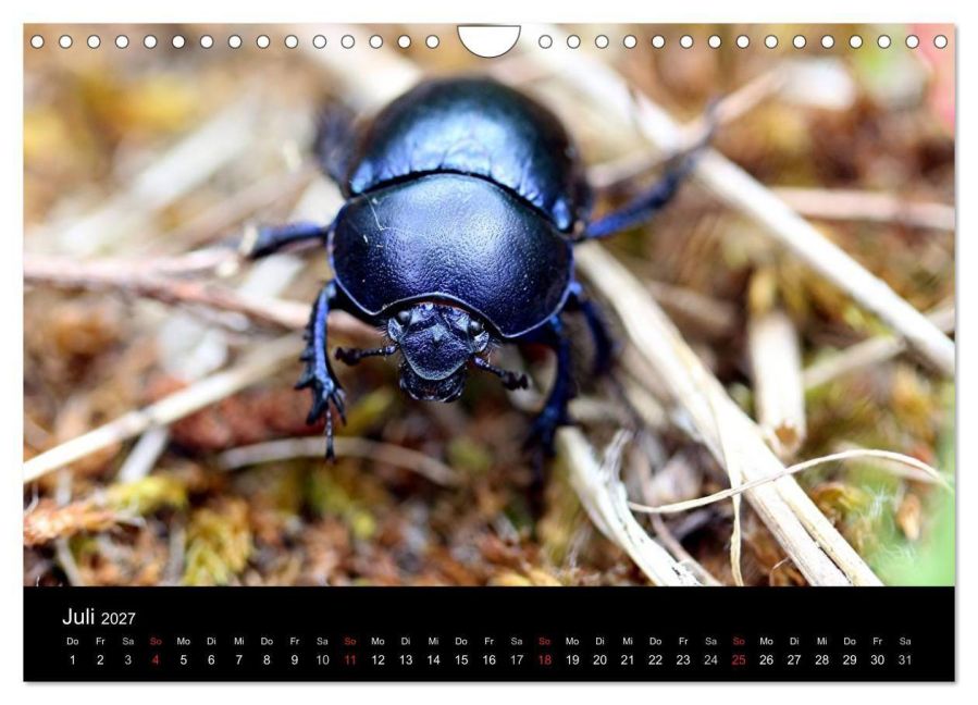 InsideView 12