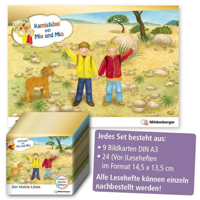 InsideView 6