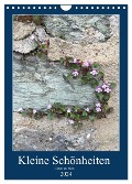 Kleine Schönheiten an Stein (Wandkalender 2024 DIN A4 hoch), CALVENDO Monatskalender - Gabi Zapf