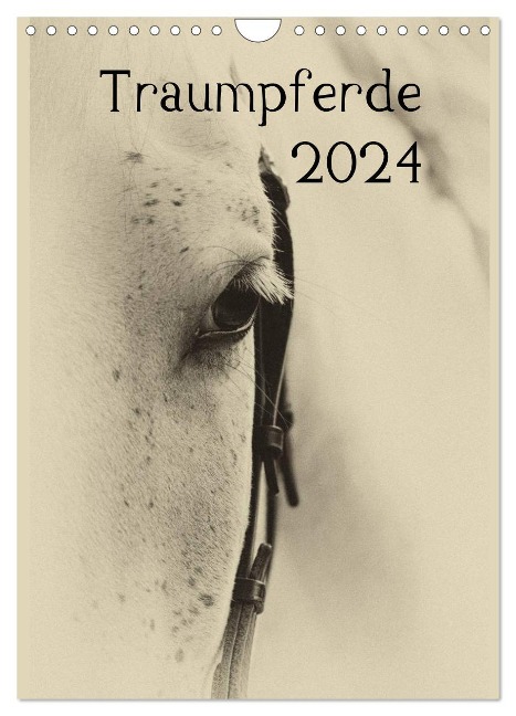 Traumpferde 2024 (Wandkalender 2024 DIN A4 hoch), CALVENDO Monatskalender - Vdp-Fotokunst. de Vdp-Fotokunst. de