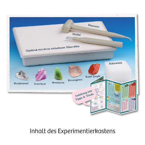 InsideView 1