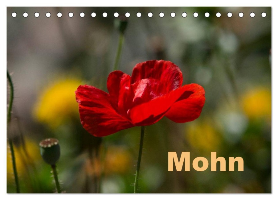 Mohn (Tischkalender 2026 DIN A5 quer), CALVENDO Monatskalender - Erwin Renken