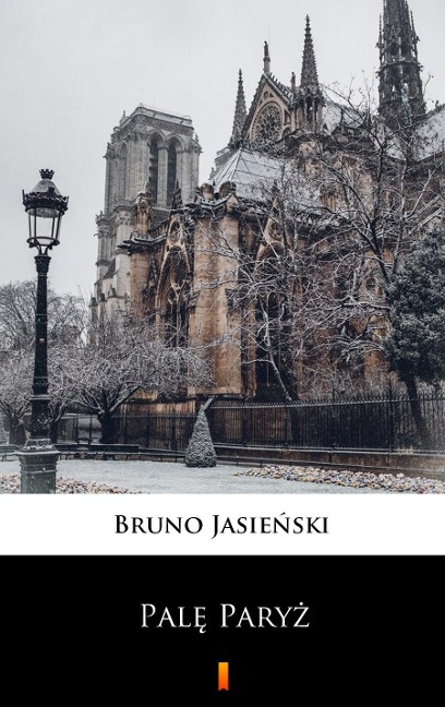 Pale Paryz - Bruno Jasienski