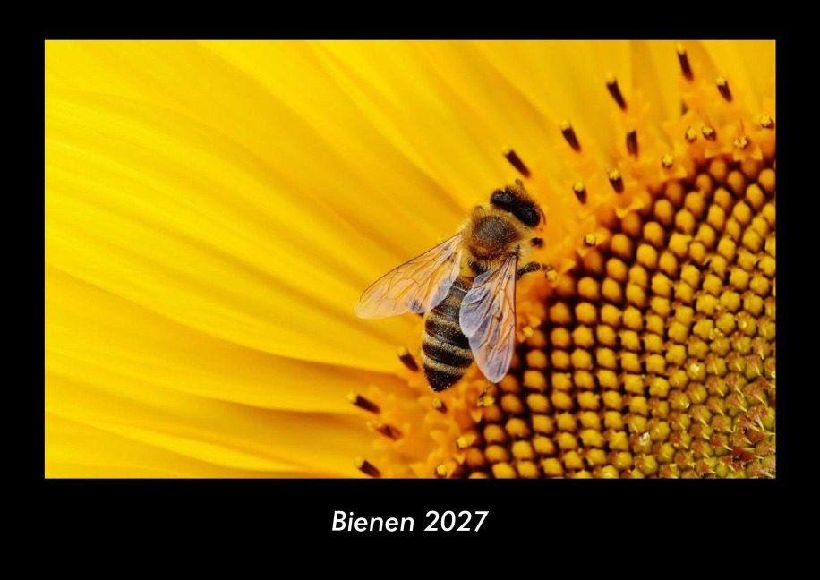 Bienen 2027 Fotokalender DIN A3 - Tobias Becker