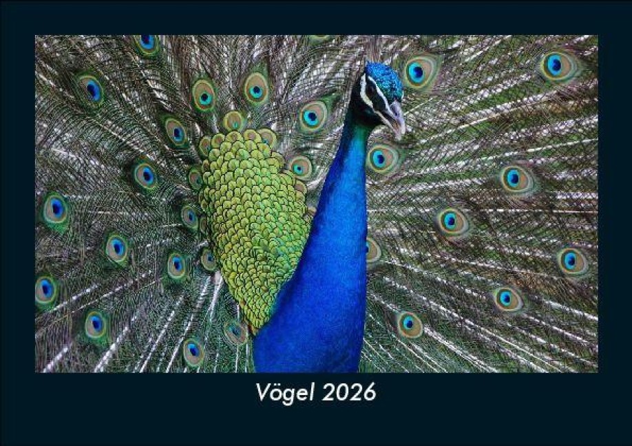 Vögel 2026 Fotokalender DIN A5 - Tobias Becker