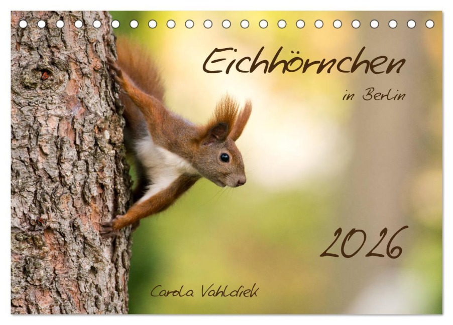Eichhörnchen in Berlin (Tischkalender 2026 DIN A5 quer), CALVENDO Monatskalender - Carola Vahldiek