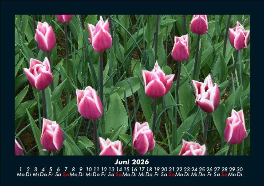 InsideView 10