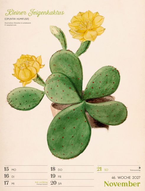 InsideView 50