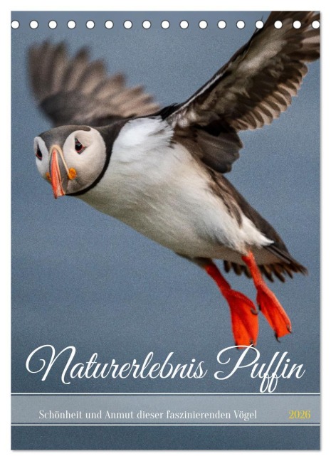 Naturerlebnis Puffin (Tischkalender 2026 DIN A5 hoch), CALVENDO Monatskalender - Dieter Gödecke