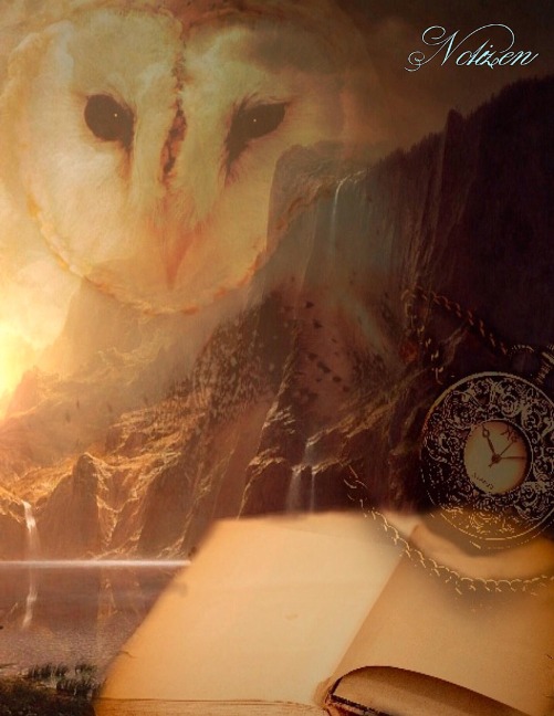 Fantasy Notizbuch: Eulenmagie - weiße Seiten mit Eckmotiv - Samuriel Sternenfeuer
