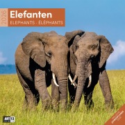 Cover-Bild zum Titel 'Elefanten Broschürenkalender 2026 - 30x30 - Art12' von ''