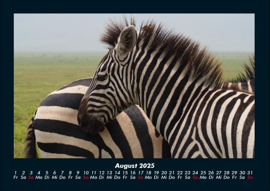 InsideView 12