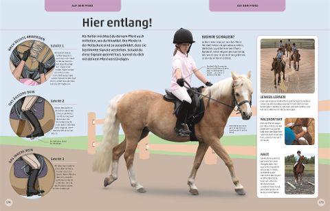 InsideView 8