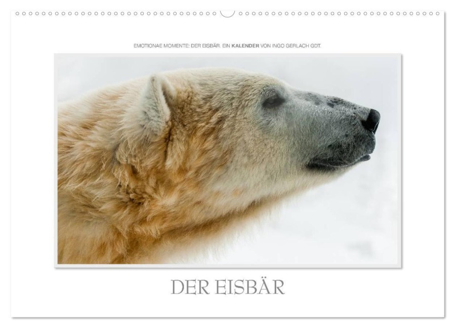 Emotionale Momente: Der Eisbär. / CH-Version (Wandkalender 2025 DIN A2 quer), CALVENDO Monatskalender - Ingo Gerlach GDT