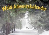 Durch den Wald im Advent - 