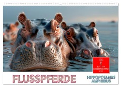 Flusspferde - Hippopotamus amphibius (Wandkalender 2025 DIN A2 quer), CALVENDO Monatskalender - Peter Roder