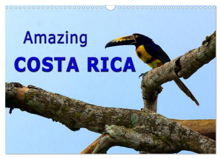 Amazing Costa Rica (Wall Calendar 2026 DIN A3 landscape), CALVENDO 12 Month Wall Calendar - Berlin Schoen