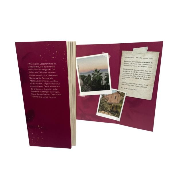 InsideView 6