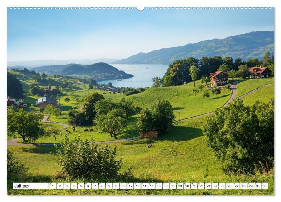 InsideView 12