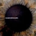 Cover-Bild zum Titel 'The Divine Cockeyed Glimpse' von 'EWs QXTD'