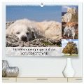 Hundespaziergänge auf der Schwäbischen Alb (hochwertiger Premium Wandkalender 2024 DIN A2 quer), Kunstdruck in Hochglanz - Monika Scheurer