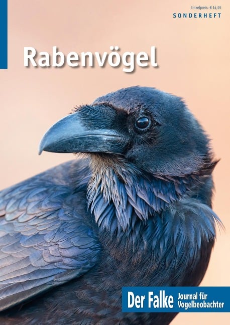 Rabenvögel - 