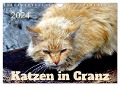 Katzen in Cranz (Wandkalender 2024 DIN A4 quer), CALVENDO Monatskalender - Henning von Löwis of Menar