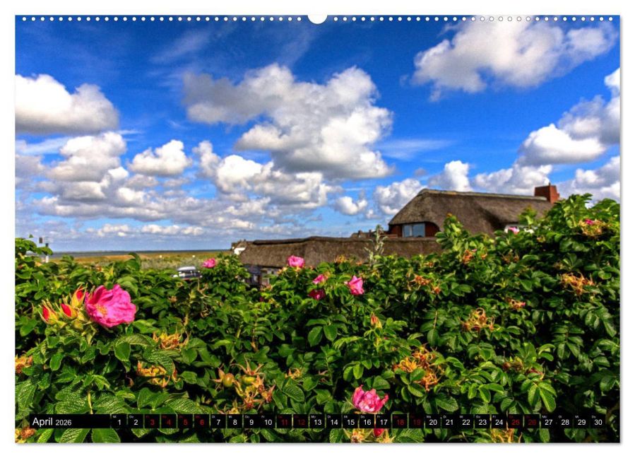 InsideView 9