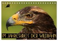 Im Jahreskreis der Wildbahn (Tischkalender 2024 DIN A5 quer), CALVENDO Monatskalender - Dirk Stamm