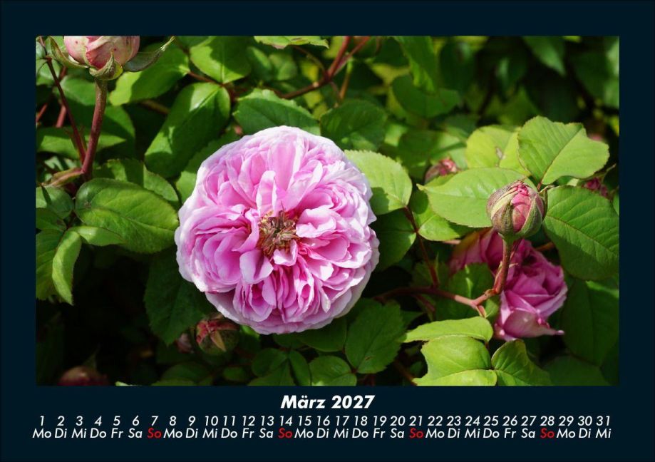 InsideView 7
