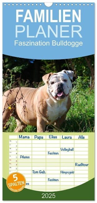 Familienplaner 2025 - Faszination Bulldogge mit 5 Spalten (Wandkalender, 21 x 45 cm) CALVENDO - Elisabeth Stanzer