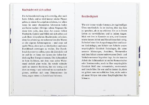 InsideView 6