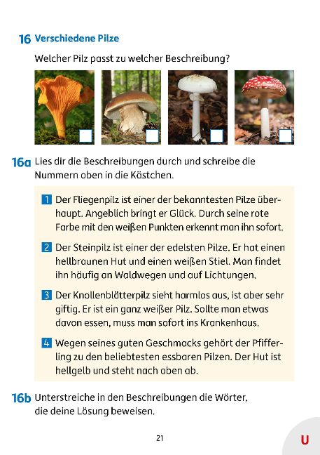 InsideView 6
