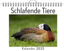 Cover-Bild zum Titel 'Schlafende Tiere - (Wandkalender 2025, Kalender DIN A4 quer, Monatskalender im Querformat mit Kalendarium, das perfekte Geschenk)' von 'Max Schäfer'