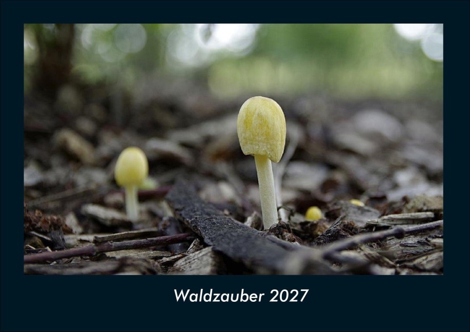 Waldzauber 2027 Fotokalender DIN A4 - Tobias Schmitt, Kevin Heber