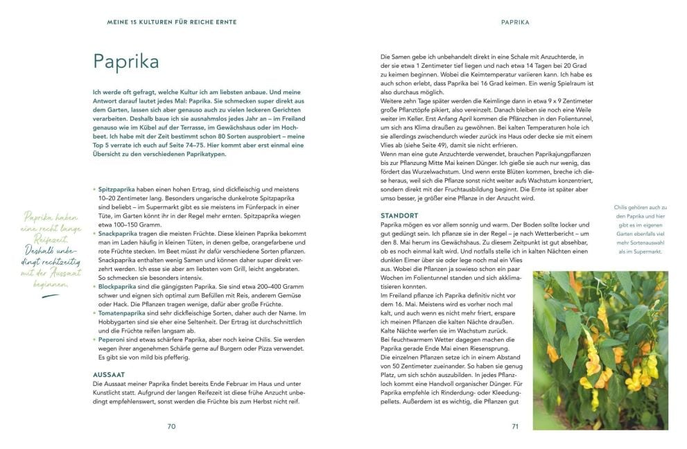 InsideView 5
