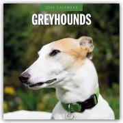 Cover-Bild zum Titel 'Greyhound - Windhund 2026 - 16-Monatskalender' von 'Robin Red'