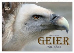 Cover-Bild zum Titel 'GEIERPORTRÄTS (Wandkalender 2026 DIN A2 quer), CALVENDO Monatskalender' von 'Matthias Besant'