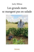 Cover-Bild zum Titel 'Les grands mots se mangent pas en salade' von 'Jacky Billeau'