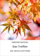 Cover-Bild zum Titel 'Das Treffen' von 'Gabriele Sommer'
