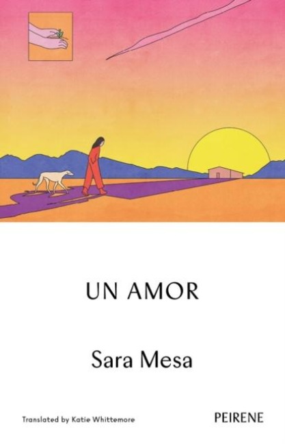 Un Amor - Sara Mesa