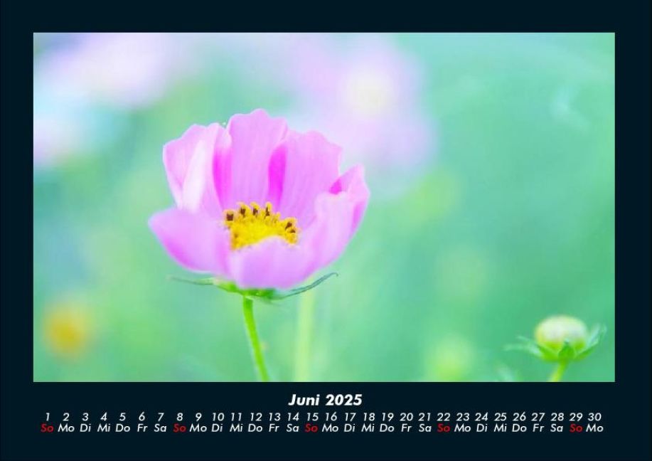 InsideView 10