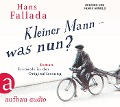 Cover-Bild zum Titel 'Kleiner Mann - was nun?' von 'Hans Fallada'