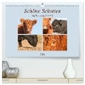 Schöne Schotten - Galloway im Porträt (hochwertiger Premium Wandkalender 2024 DIN A2 quer), Kunstdruck in Hochglanz - Meike Bölts