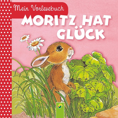 Moritz hat Glück - Ingrid Pabst