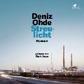 Cover-Bild zum Titel 'Streulicht' von 'Deniz Ohde'