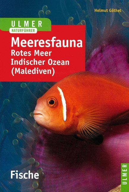 Meeresfauna. Fische - Helmut Göthel